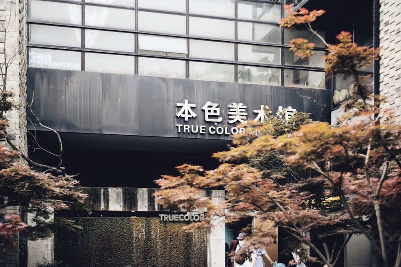本色美术馆 - 图片2