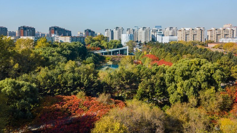 长春水文化生态园 - 图片2