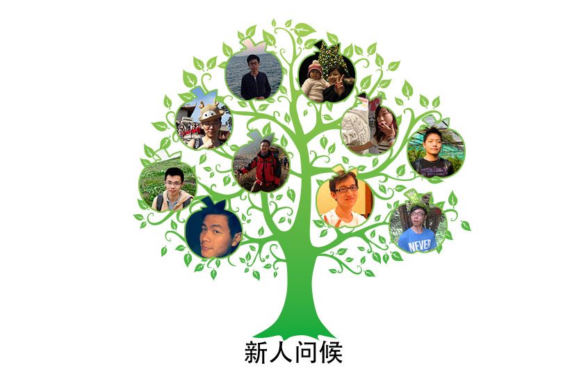 作品图8